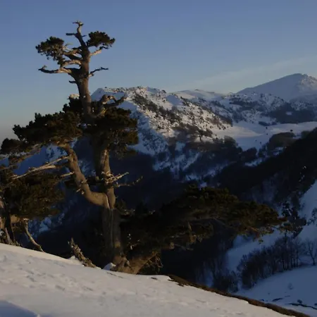 Tana Libera Tutti 2 Nature, Yourself, Lejlighed Viggianello