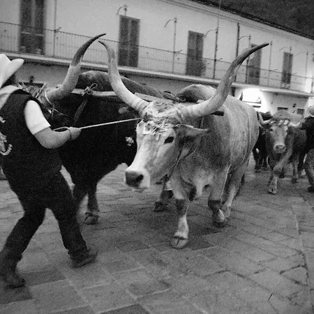 Tana Libera Tutti 2 Nature, Yourself, *