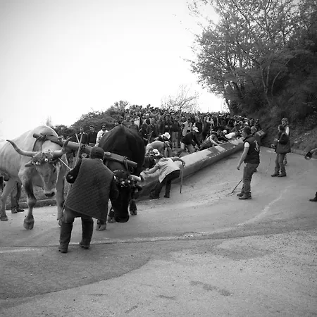 公寓 Tana Libera Tutti 2 Nature, Yourself, *