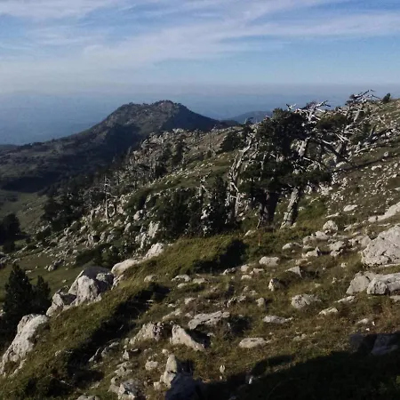 Tana Libera Tutti 2 Nature, Yourself,