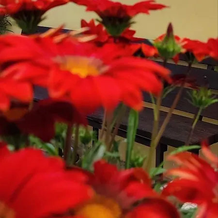 公寓 Tana Libera Tutti 2 Nature, Yourself, *