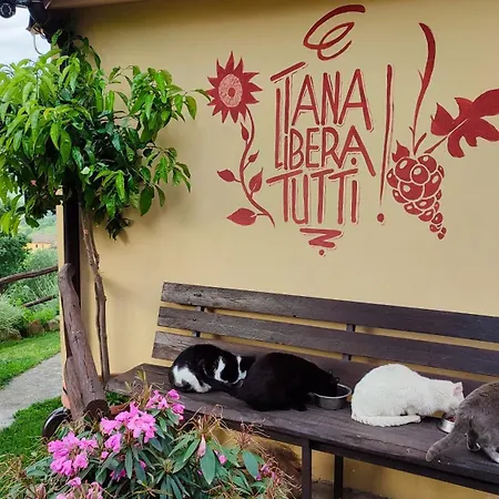 Tana Libera Tutti 2 Nature, Yourself, Viggianello