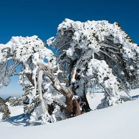 Tana Libera Tutti 2 Nature, Yourself, Apartament *