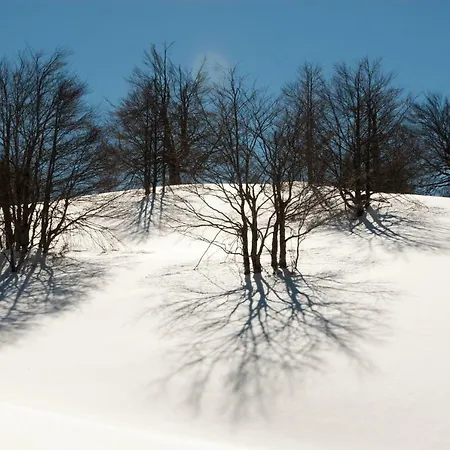 公寓 Tana Libera Tutti 2 Nature, Yourself, *