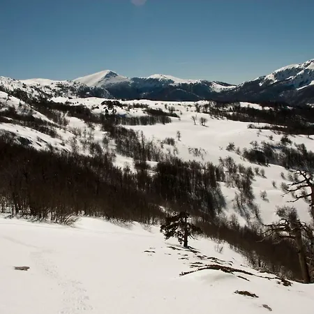 Tana Libera Tutti 2 Nature, Yourself, 维贾内洛