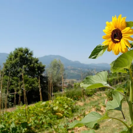 Tana Libera Tutti 2 Nature, Yourself, Viggianello