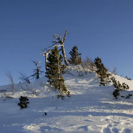 Tana Libera Tutti 2 Nature, Yourself, * 维贾内洛