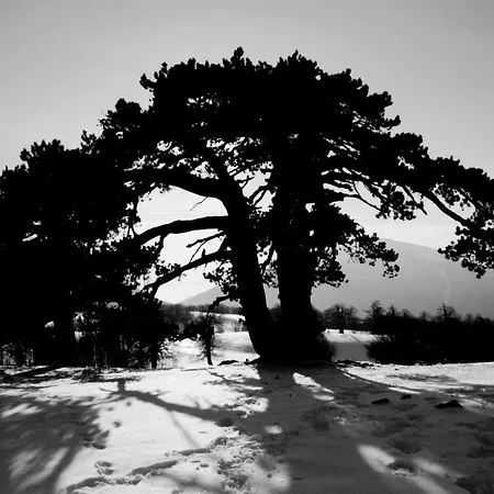 Lejlighed Tana Libera Tutti 2 Nature, Yourself, *