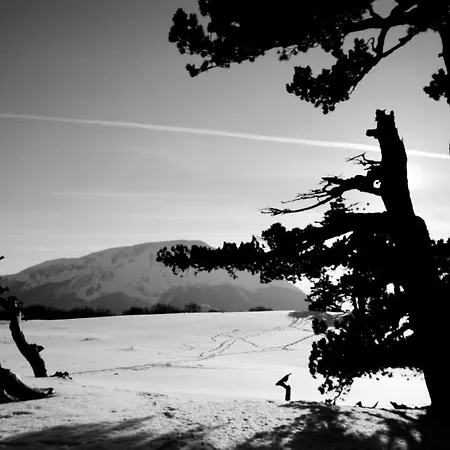 Tana Libera Tutti 2 Nature, Yourself, Viggianello