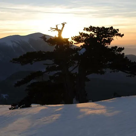 Tana Libera Tutti 2 Nature, Yourself, 公寓 维贾内洛