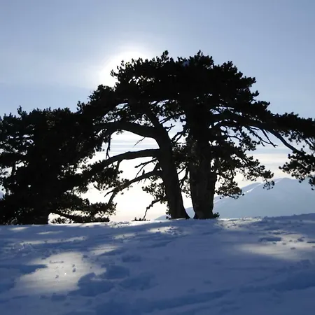 Tana Libera Tutti 2 Nature, Yourself, *