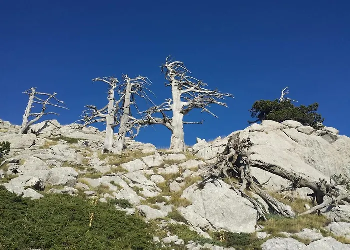 Tana Libera Tutti 2 Nature, Yourself, Apartamento