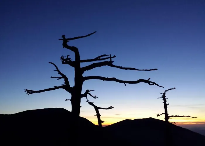 Tana Libera Tutti 2 Nature, Yourself, * Viggianello