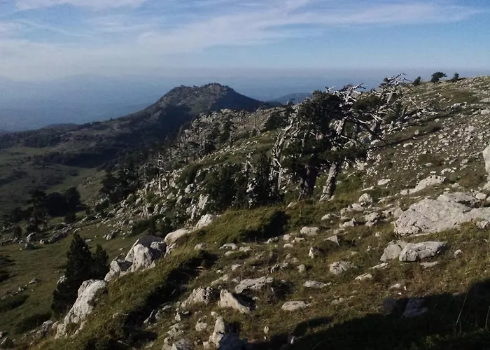 Tana Libera Tutti 2 Nature, Yourself,