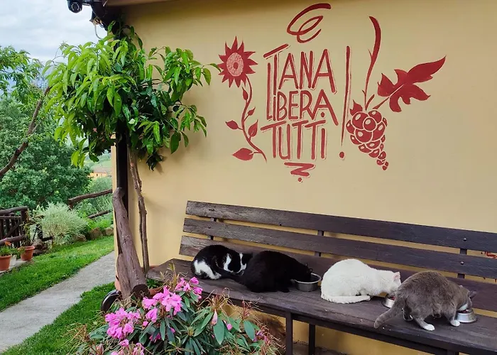 Tana Libera Tutti 2 Nature, Yourself, Viggianello