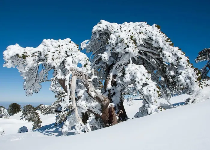 Tana Libera Tutti 2 Nature, Yourself, Apartamento *