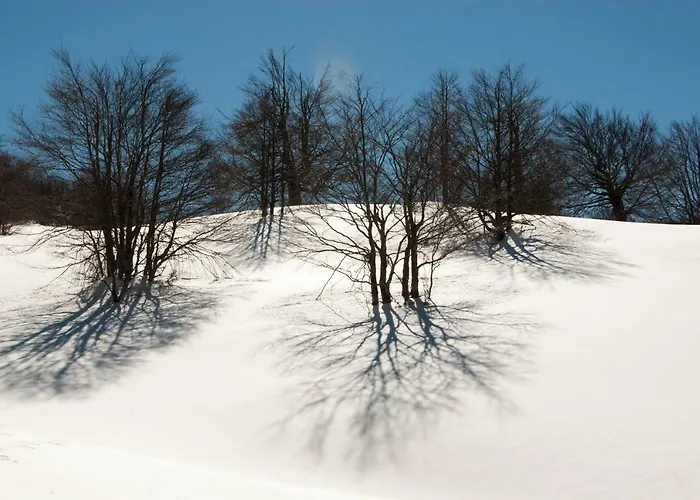 Apartamento Tana Libera Tutti 2 Nature, Yourself, *