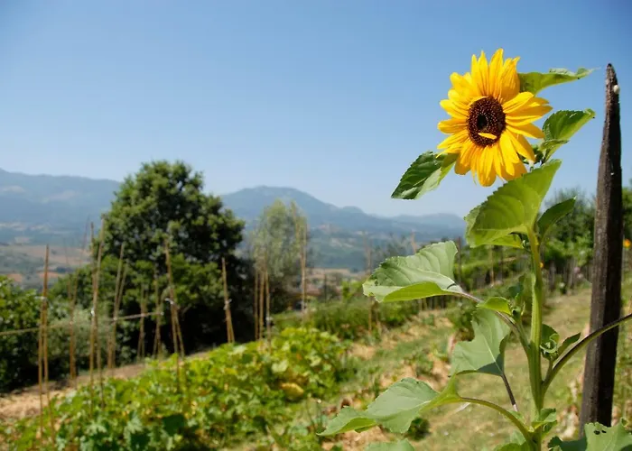 Tana Libera Tutti 2 Nature, Yourself, Viggianello