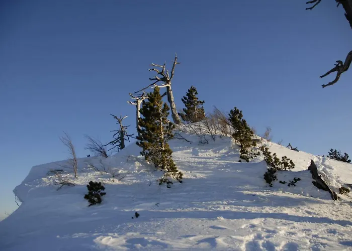 Tana Libera Tutti 2 Nature, Yourself, * Viggianello