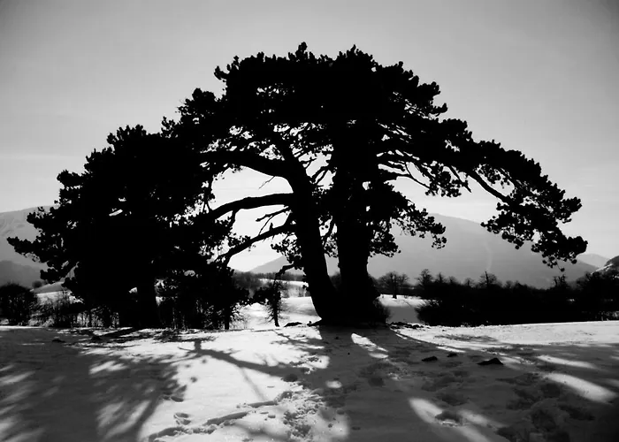 Apartamento Tana Libera Tutti 2 Nature, Yourself, *