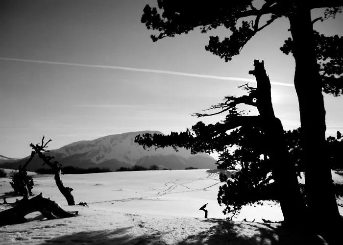 Tana Libera Tutti 2 Nature, Yourself, Viggianello