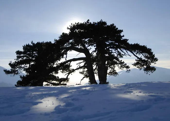 Tana Libera Tutti 2 Nature, Yourself, *