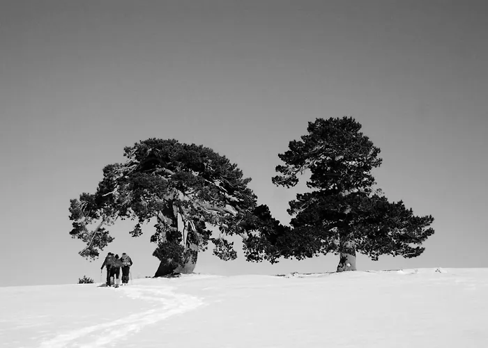 Apartamento Tana Libera Tutti 2 Nature, Yourself,